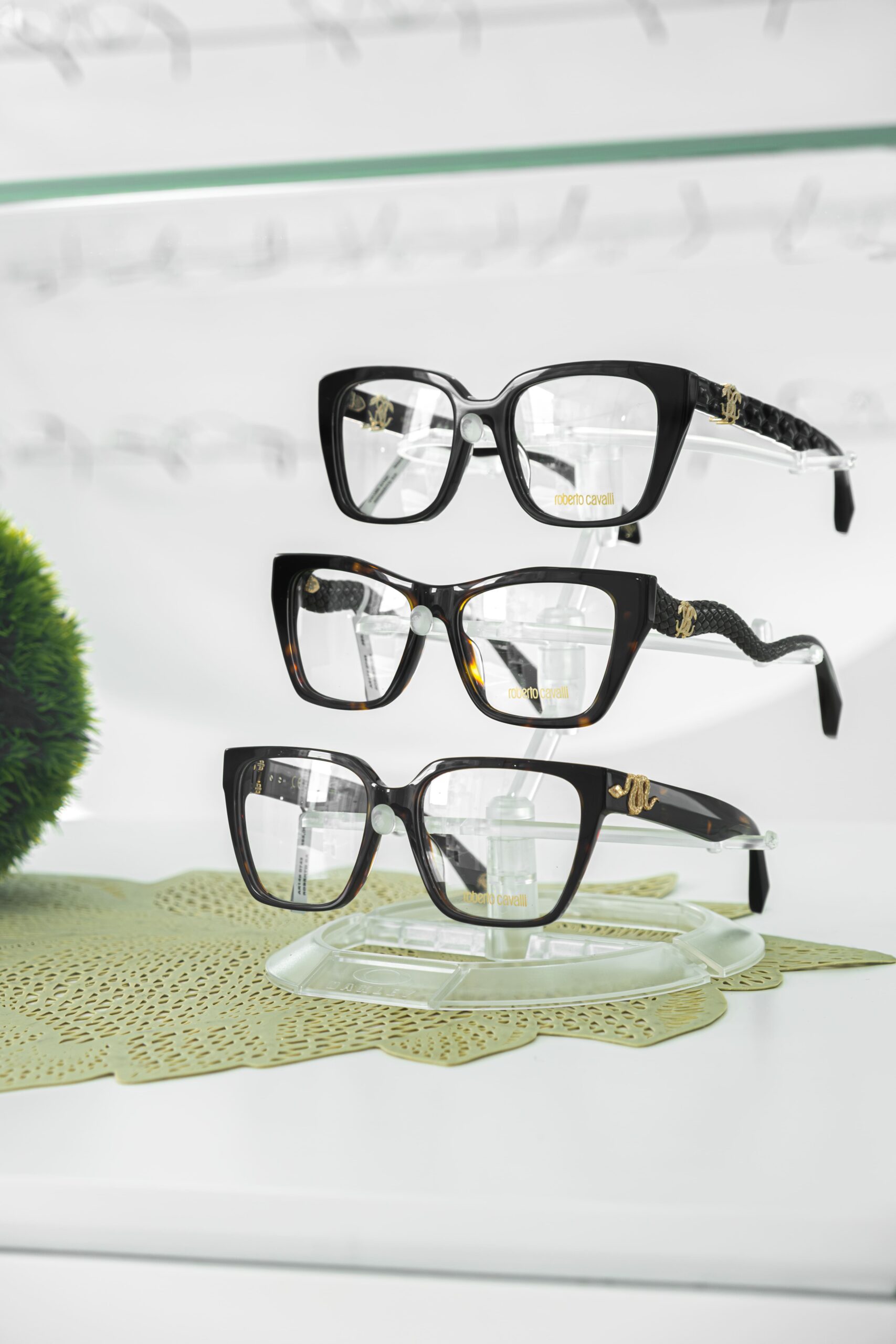 Armações Roberto Cavalli